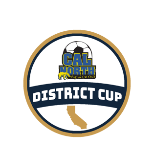 DistrictCup