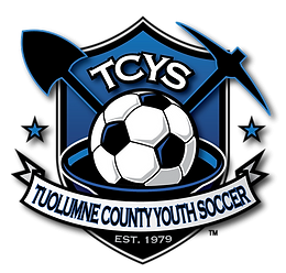 TCYS 2 color logo 208